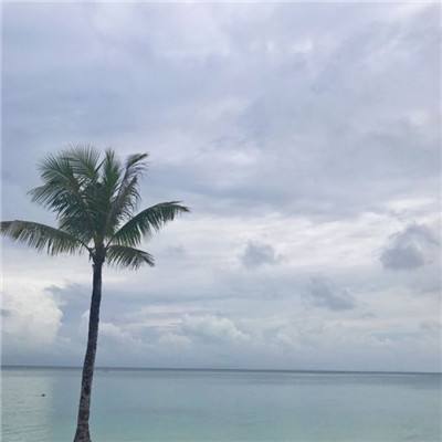 半岛综合网截图